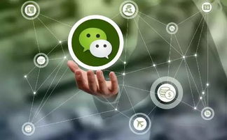 六月八大网络谣言揭秘 这些骗局你上当了吗？